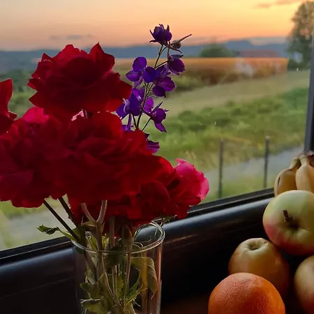 Gorska Przystan Dom Mala Sowka Semesterbostad Sierpnica